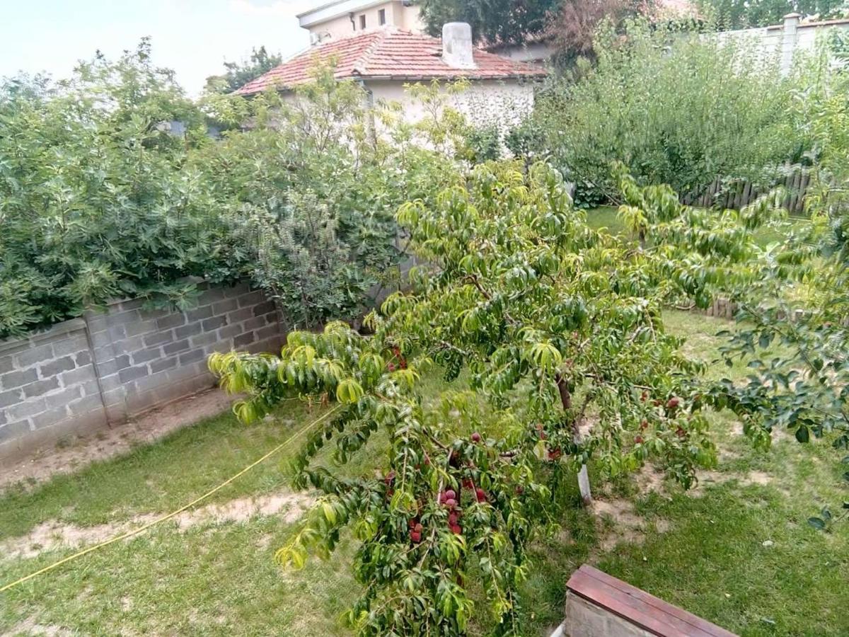 Alfa Guest Rooms With Parking Varna Exterior foto